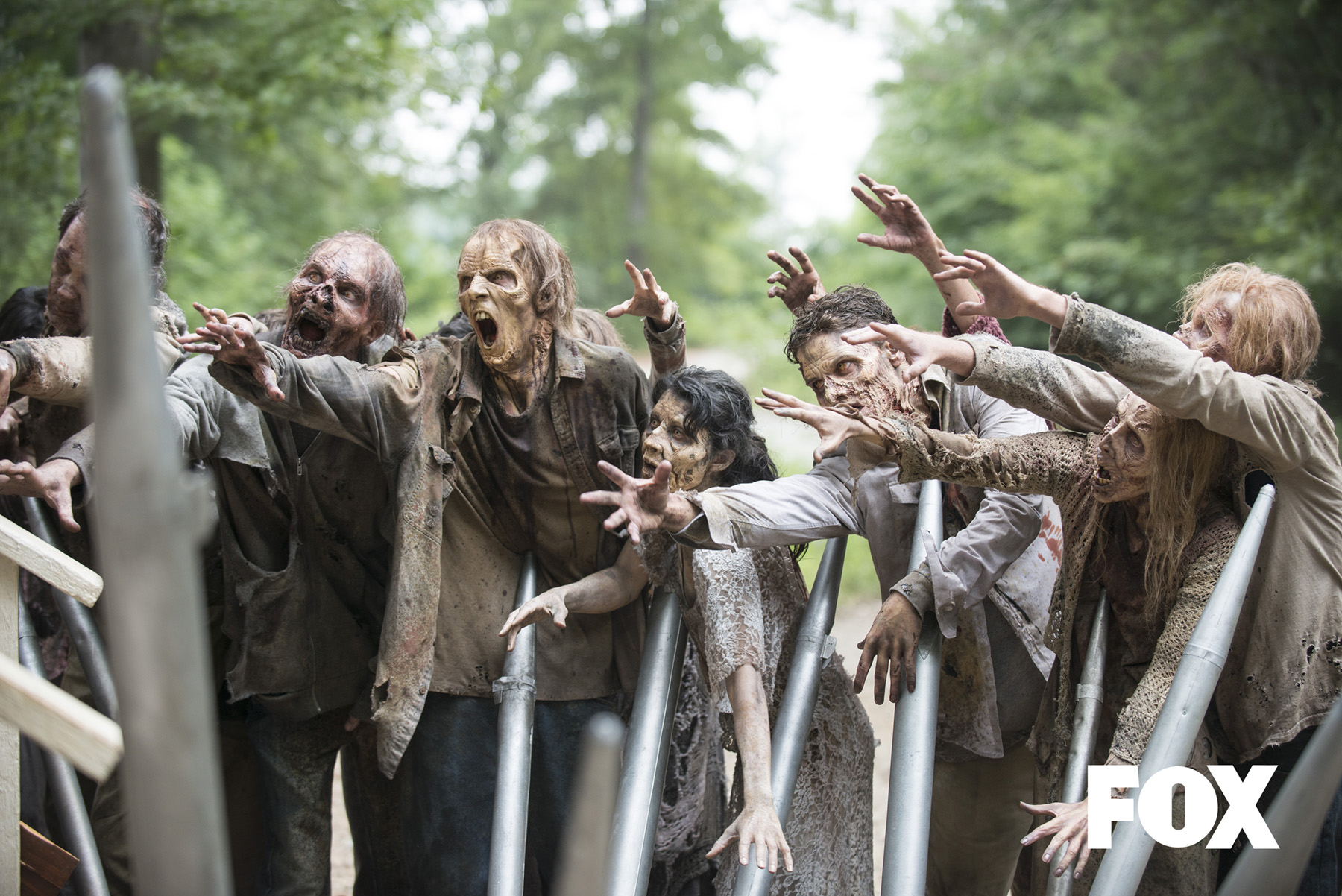 Walkers - The Walking Dead _ Season 5, Episode 8 - Photo Credit: Gene Page/AMC