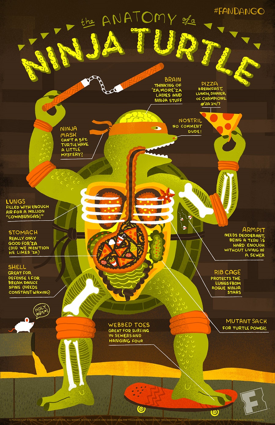Anatomy of a Ninja Turtle